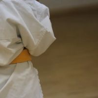 Chikara Carter Satori Karate ico