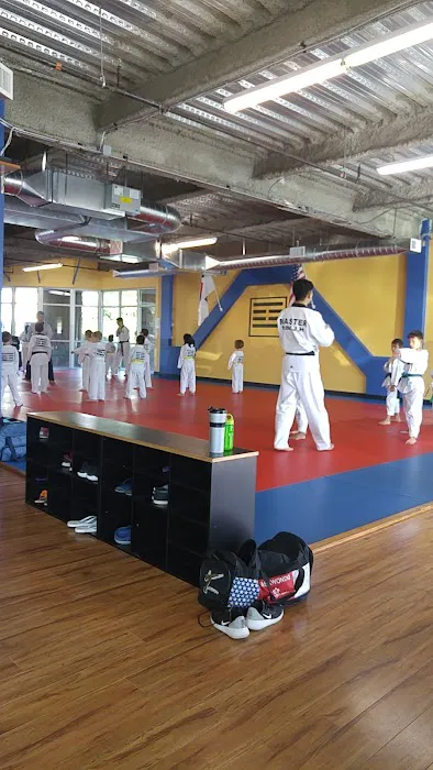 Taekwondo Way Picture 1