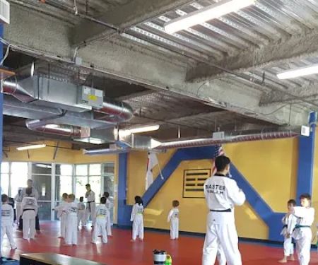 Taekwondo Way
