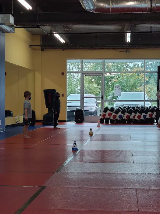 Taekwondo Way Picture 2