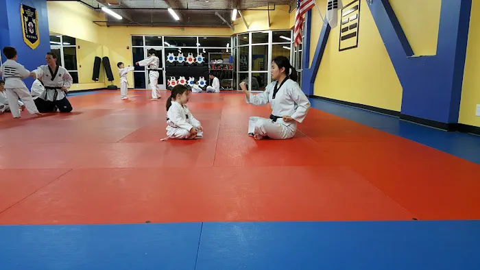 Taekwondo Way Picture 4