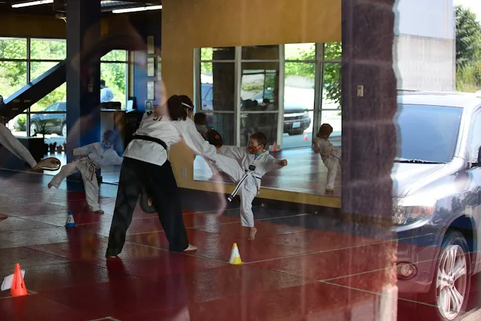 Taekwondo Way Picture 9
