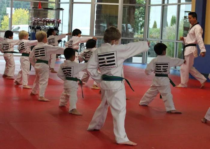 Taekwondo Way Picture 8