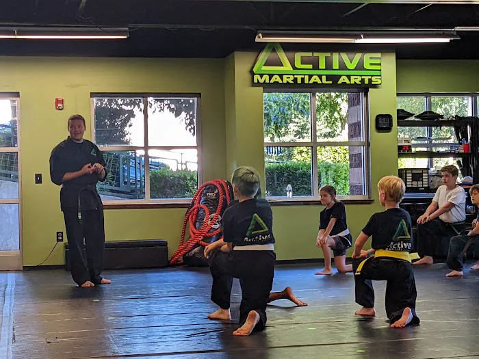 Active Martial Arts Picture 2