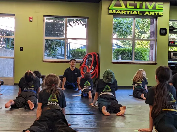 Active Martial Arts Picture 5