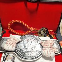 Warrior Strength Martial Arts ico