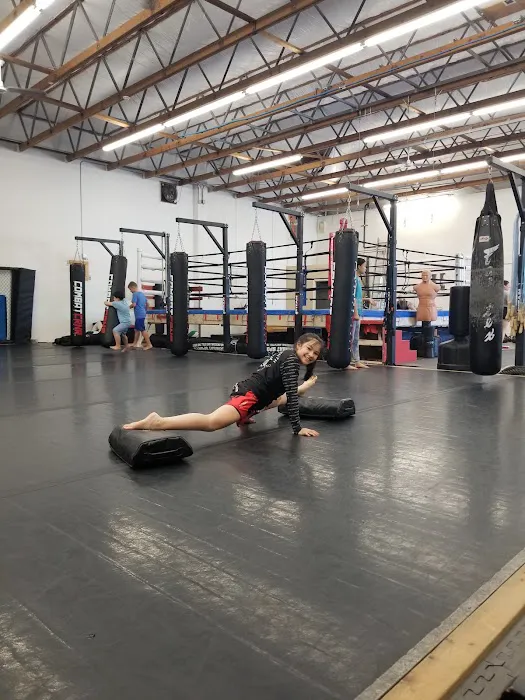 Warrior Strength Martial Arts Picture 6