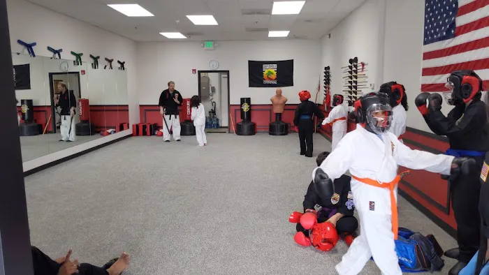 United Studios of Self Defense Sammamish Picture 5