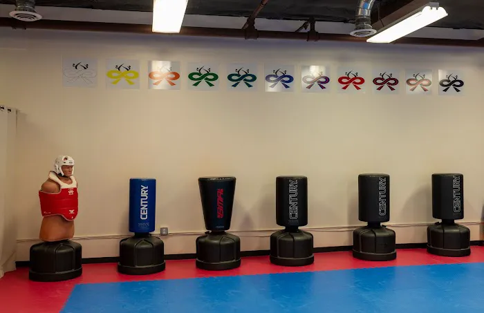 Infinite Taekwondo Academy Picture 4