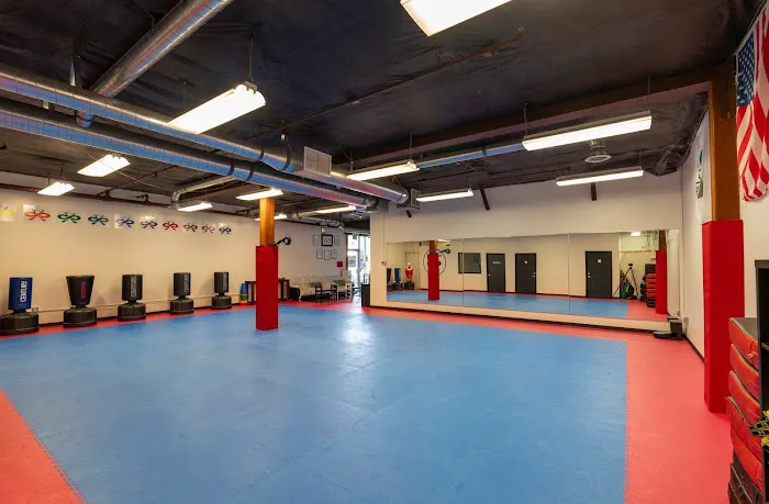 Infinite Taekwondo Academy Picture 9