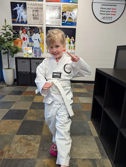 Elevate Martial Arts Picture 3