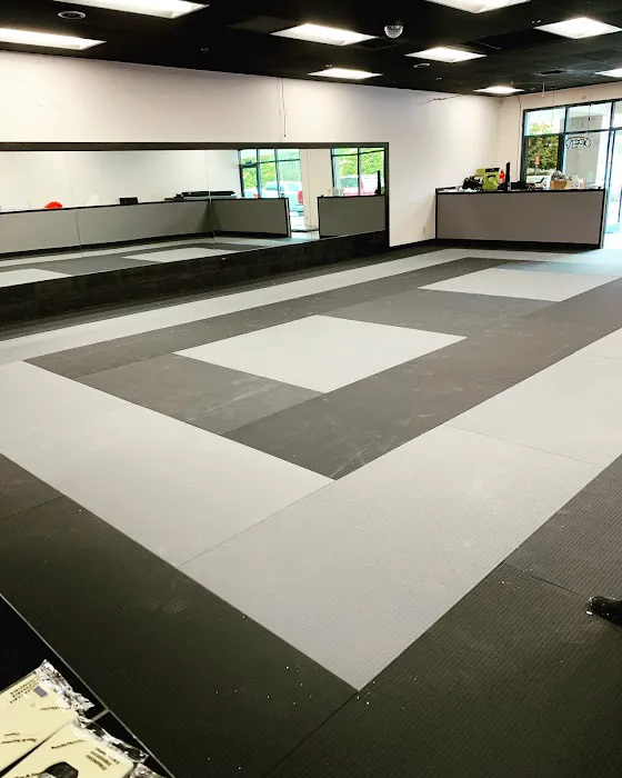 Elevate Martial Arts Picture 4