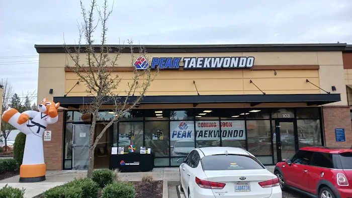 PEAK TAEKWONDO | Master Kim's MARTIAL ARTS Picture 9