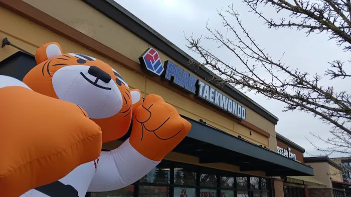 PEAK TAEKWONDO | Master Kim's MARTIAL ARTS Picture 10