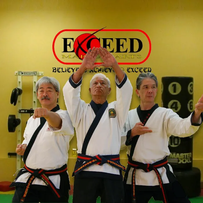 Exceed Martial Arts Picture 2