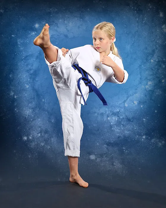 The Way Martial Arts Center Picture 6