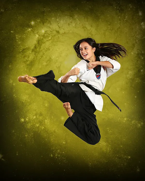 The Way Martial Arts Center Picture 7