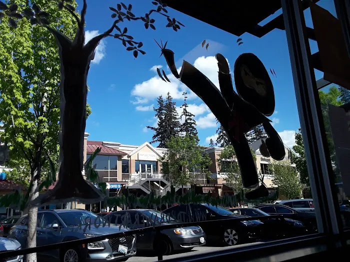 Zen Dragon Martial Arts Mill Creek Picture 3