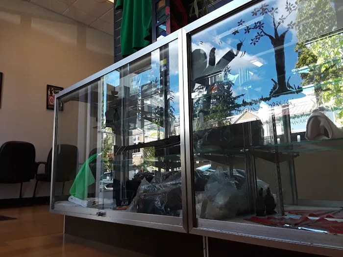 Zen Dragon Martial Arts Mill Creek Picture 4