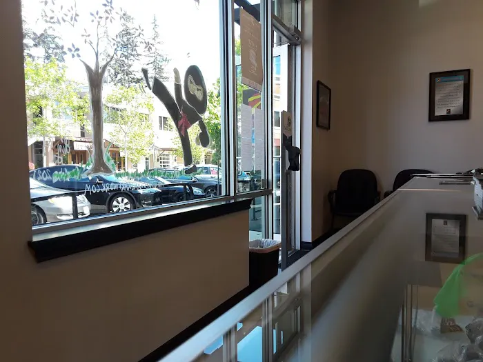 Zen Dragon Martial Arts Mill Creek Picture 7