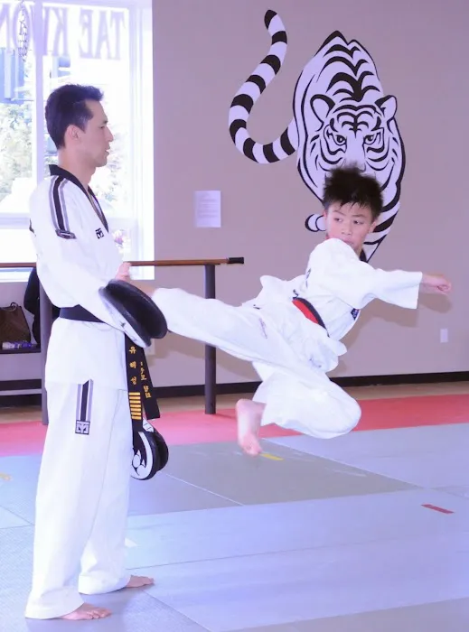 White Tiger Martial Arts, LLC Picture 1