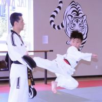 White Tiger Martial Arts, LLC ico
