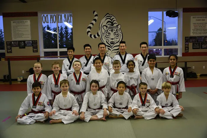 White Tiger Martial Arts, LLC Picture 6