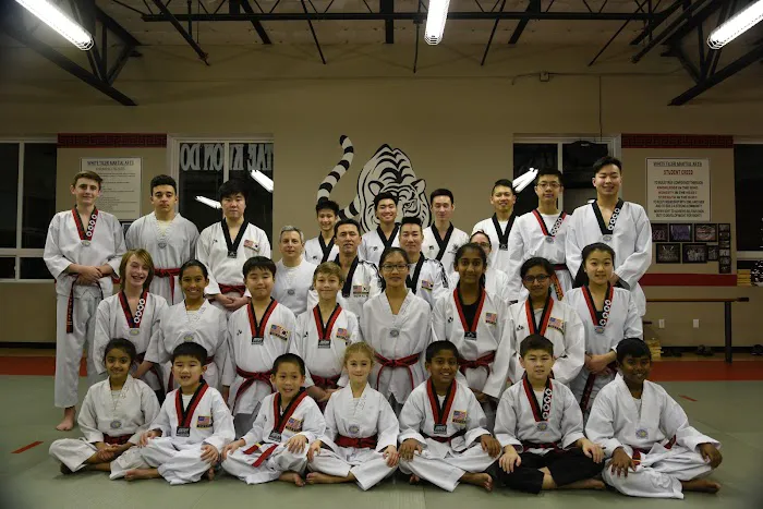 White Tiger Martial Arts, LLC Picture 5