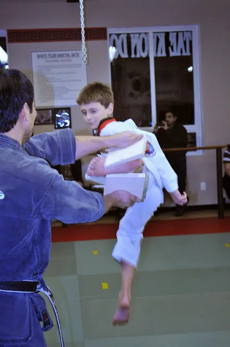 White Tiger Martial Arts, LLC Picture 10