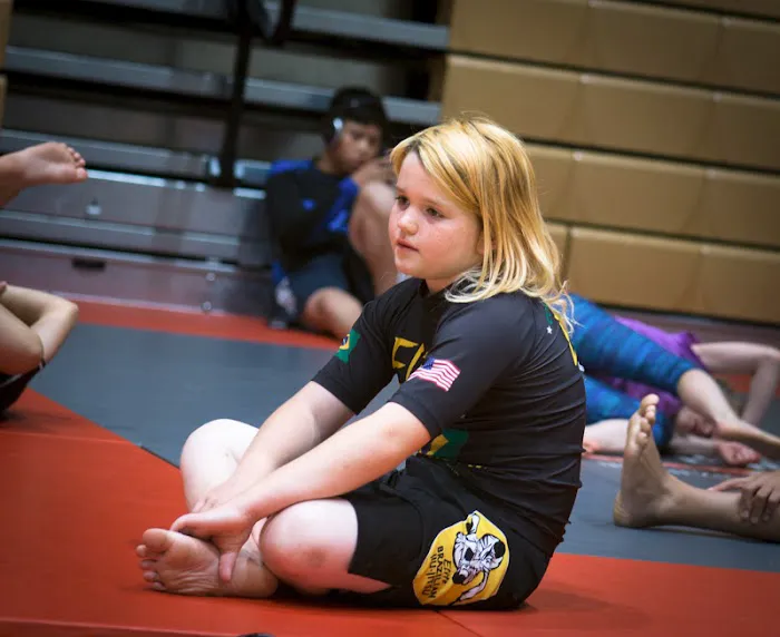 Bothell Martial Arts Academy Picture 4