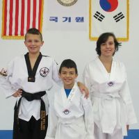 Traditional Tae Kwon Do ico