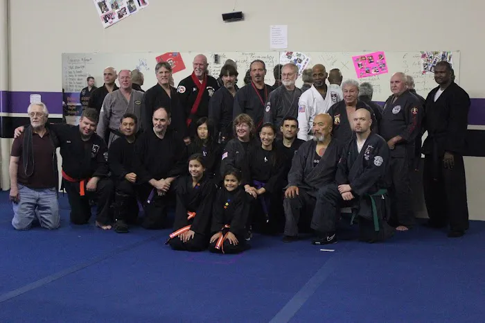 AC Rainey's Kenpo Karate Picture 9