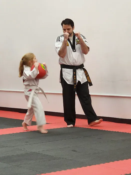 Hawks Family Martial Arts Picture 4