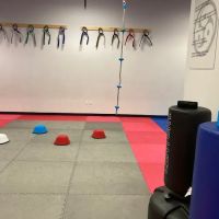 Hawks Family Martial Arts ico