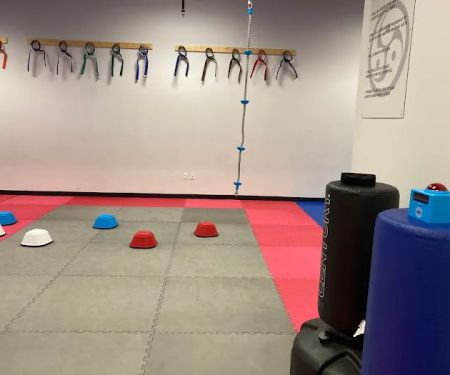 Hawks Family Martial Arts