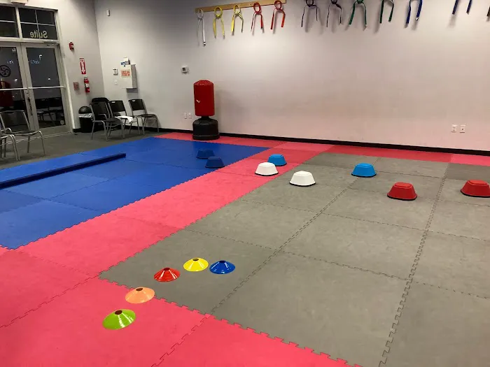 Hawks Family Martial Arts Picture 7