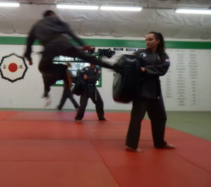 Great Northwest Martial Arts Academy Picture 2