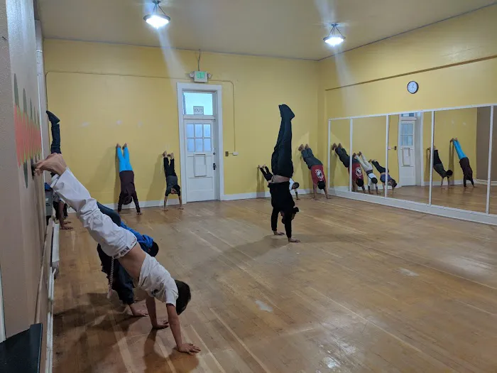 Tacoma Capoeira Center (Capoeira Vida) Picture 10