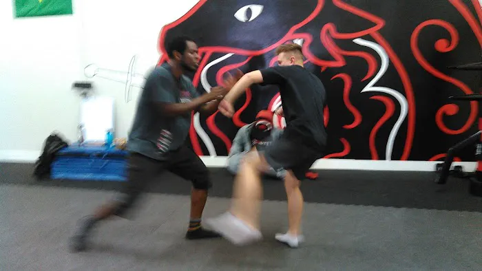 Warrior Path Martial Arts Picture 7