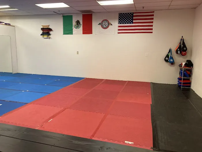 Union de Artes Marciales Munoz Picture 3