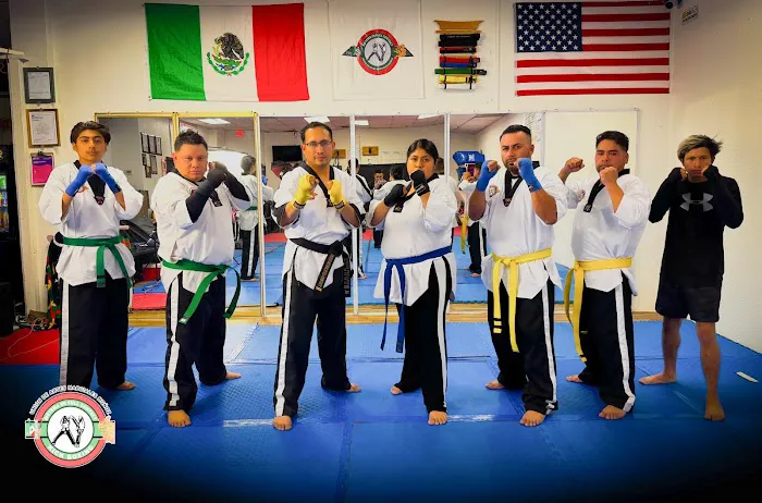 Union de Artes Marciales Munoz Picture 10