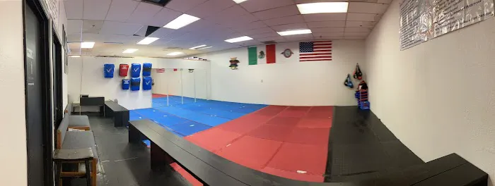 Union de Artes Marciales Munoz Picture 5