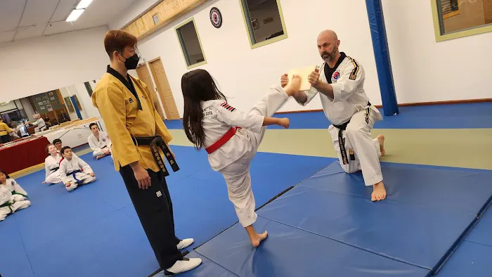 Master Pae's World Class Martial Arts Picture 1