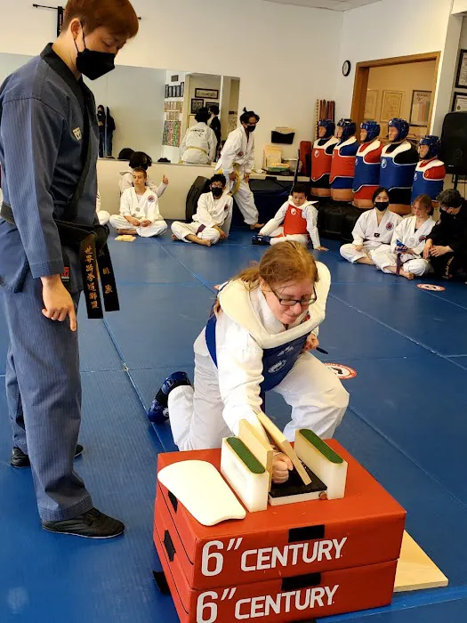 Master Pae's World Class Martial Arts Picture 4