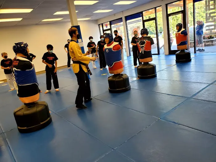 Master Pae's World Class Martial Arts Picture 3