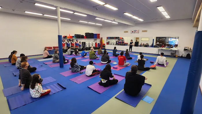 Master Pae's World Class Martial Arts Picture 9