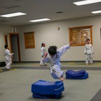 Washington Karate Lakewood Dojo ico
