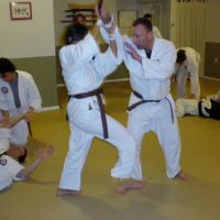 Seibukan Jujutsu of Washington ico