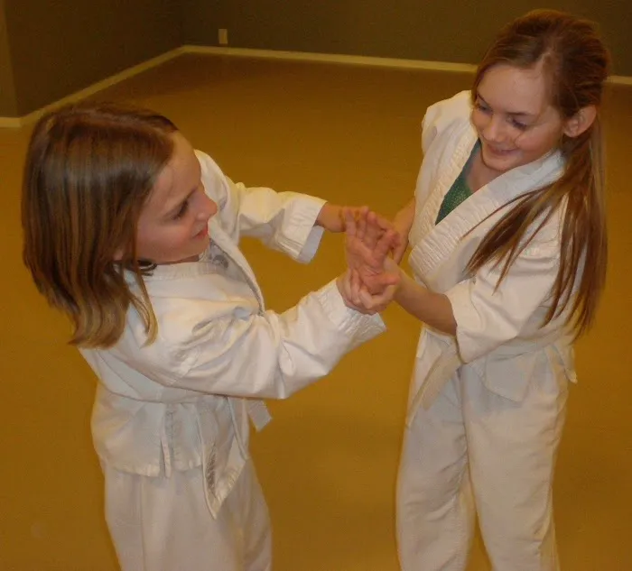 Seibukan Jujutsu of Washington Picture 5