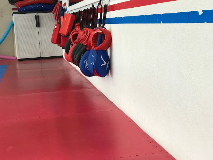 Tiger Taekwondo Academy Picture 1